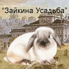 http://zaikinausadba.ucoz.ru/Banner/Banner100x100.gif